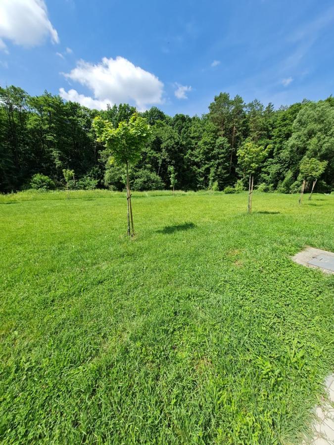 Отель Patakmalom Vendeghaz Dobronte Экстерьер фото